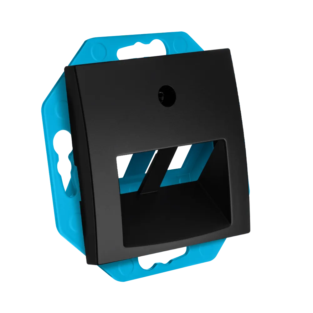Modular Jack 30° 2-voudig met Centraalplaat E1 Mat Zwart