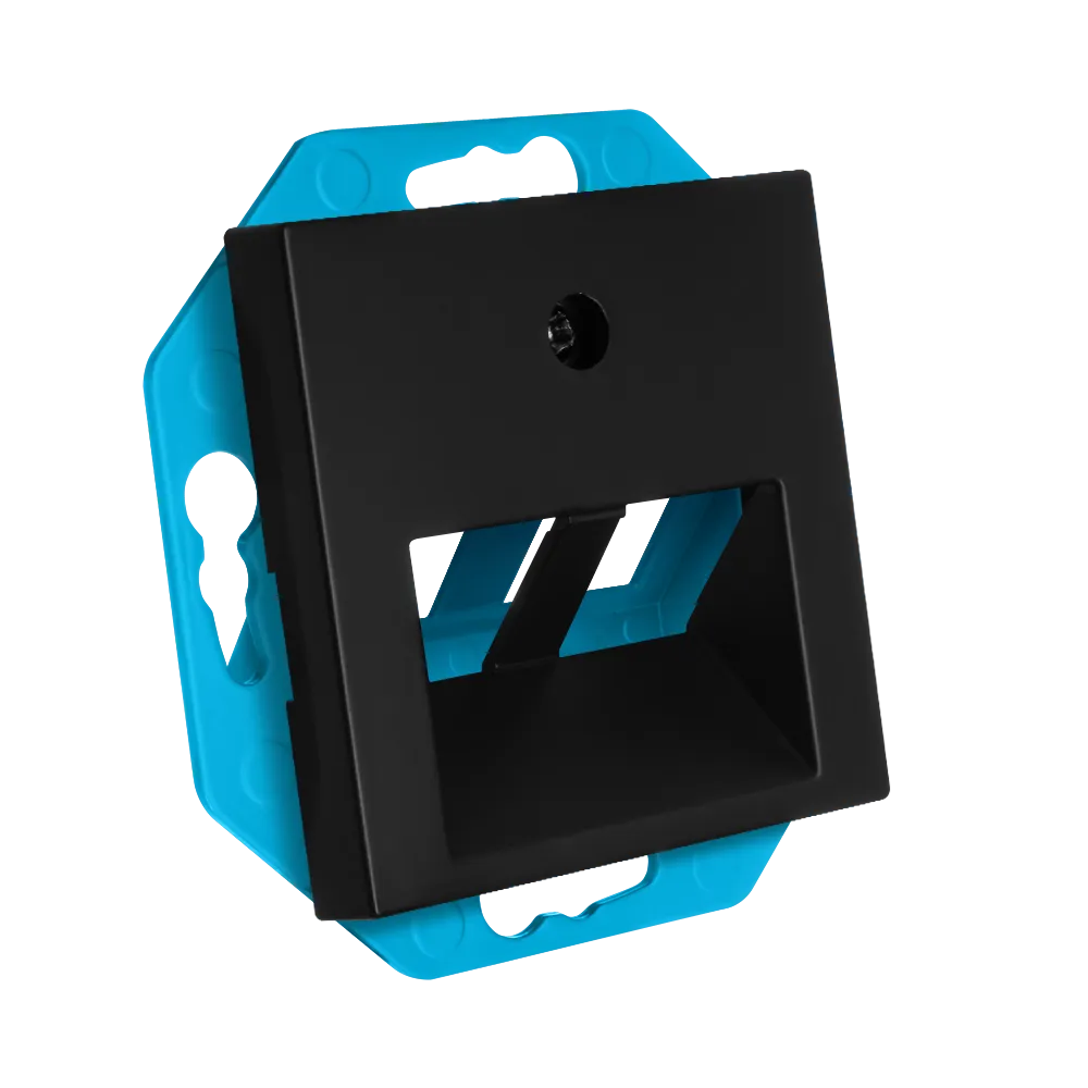 Modular Jack 30° 2-voudig met Centraalplaat V1/J1 Mat Zwart